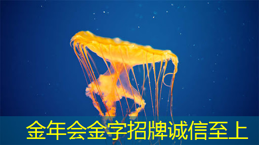 人工智能的热度被我们芯片行业蹭到了! 人工智能的热度被我们芯片行业蹭到了!