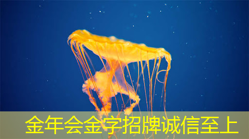 金年会:长城放话为国超车!魏建军:千亿研发砸芯片、能源和智能车,核心员工100%持股 金年会:长城放话为国超车!魏建军:千亿研发砸芯片、能源和智能车,核心员工100%持股