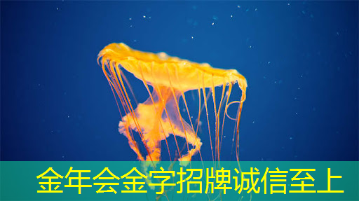 金年会:张强:中国汽车智能芯片行业里的行动派 金年会:张强:中国汽车智能芯片行业里的行动派