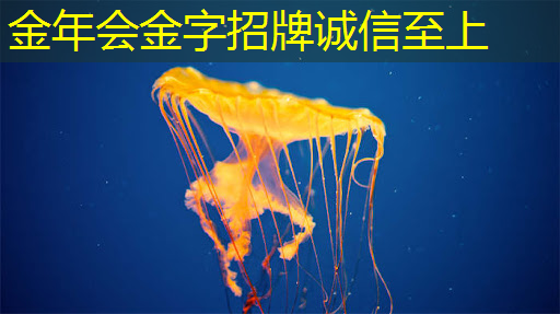 金年会:倒计时2天 | 车规芯片、半导体装备、光电子及新应用方向,三大MEMS细分技术主题论坛限时报名 金年会:倒计时2天 | 车规芯片、半导体装备、光电子及新应用方向,三大MEMS细分技术主题论坛限时报名