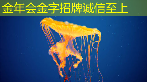 中国首颗超500比特超导量子计算芯片交付 中国首颗超500比特超导量子计算芯片交付