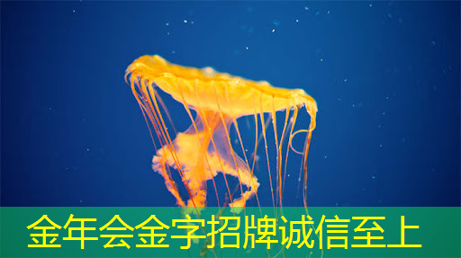 金年会:单记章:车规级高性能芯片的创新,需要产业链各环节协同 | 第六届金辑奖 · 中国汽车产业影响力人物 金年会:单记章:车规级高性能芯片的创新,需要产业链各环节协同 | 第六届金辑奖 · 中国汽车产业影响力人物