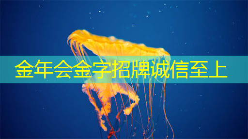 手机wifi同屏:让你和朋友一起观看最新大片! 手机wifi同屏:让你和朋友一起观看最新大片!