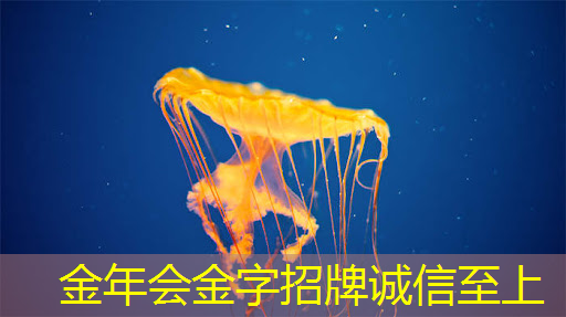 智慧树与芝麻投影:给您带来超越传统观影的全新感受! 智慧树与芝麻投影:给您带来超越传统观影的全新感受!