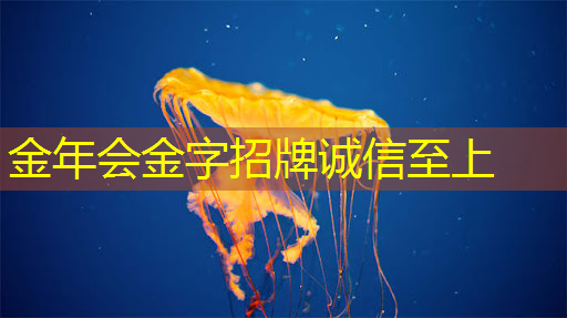 智慧投影点亮城市夜空,带来独特视觉盛宴! 智慧投影点亮城市夜空,带来独特视觉盛宴!