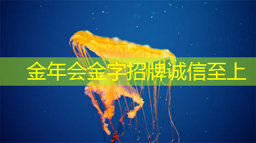 智慧树和芝麻投影:哪个更适合您的家庭娱乐? 智慧树和芝麻投影:哪个更适合您的家庭娱乐?