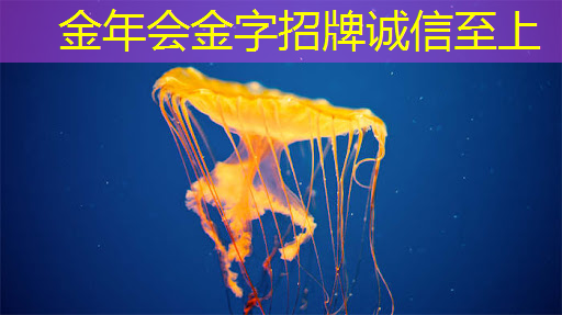 智慧与美学的完美融合,智慧灯投影引领潮流 智慧与美学的完美融合,智慧灯投影引领潮流