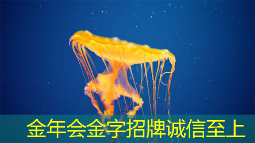 智慧商显管理平台:打开传统经营新思路,创领商业未来 智慧商显管理平台:打开传统经营新思路,创领商业未来
