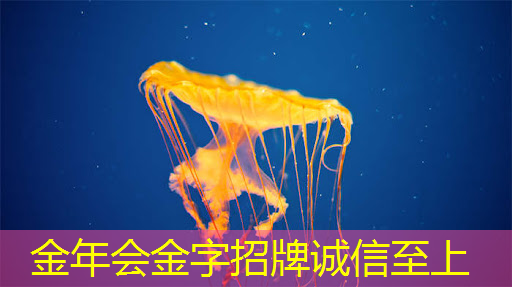 无线网如何改善交通运输体验？