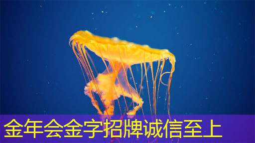 商显智慧屏：数字营销的未来趋势与发展方向
