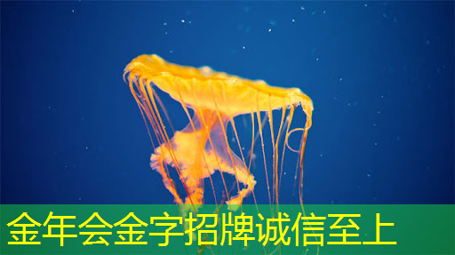 商显智慧电视：优选商家首选，引爆行业新可选！