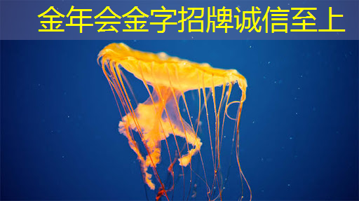 高科技商务营销利器，商显智慧屏助力企业拓展市场！