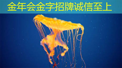 青海智能物流输送设备