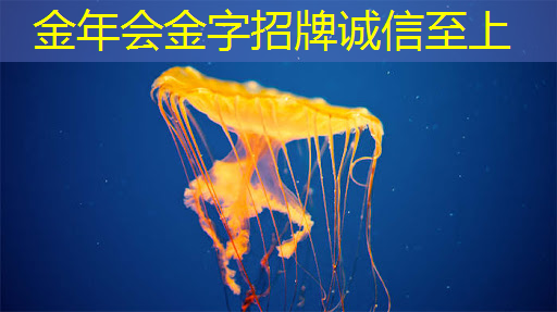 苏州范瑞高端智能物流装备