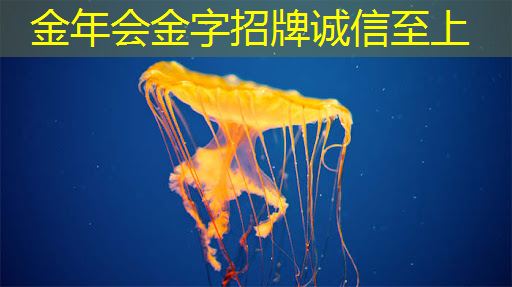 智能星空投屏设备对于老人和孩子来说是否易于使用？