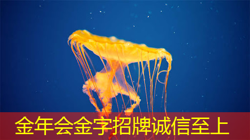 Leap工业互联网平台