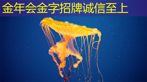 无需网络,完美同步!无线手机连接技术引领科技新潮流 无需网络,完美同步!无线手机连接技术引领科技新潮流