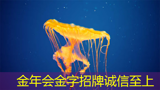 数字能源的概念 数字能源的概念