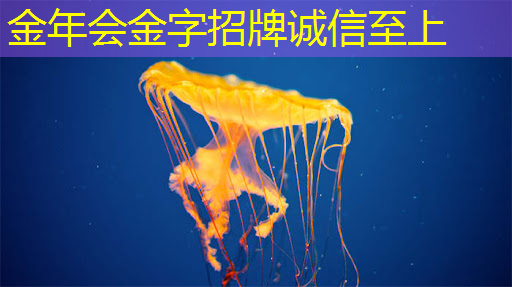 成都智慧城市沙盘报价 成都智慧城市沙盘报价
