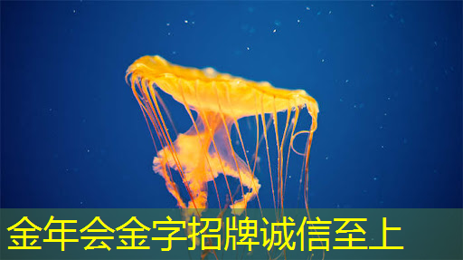 工业互联网民工工资多少 工业互联网民工工资多少