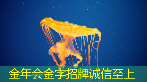 商显智慧屏:为店铺装修增添无限可能 商显智慧屏:为店铺装修增添无限可能