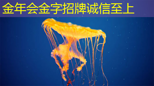 智慧城市在抖音发布的作品 智慧城市在抖音发布的作品