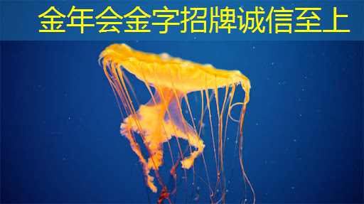 潍坊智慧城市招募公告公示 潍坊智慧城市招募公告公示