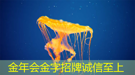 临邑智能快递物流园在哪 临邑智能快递物流园在哪