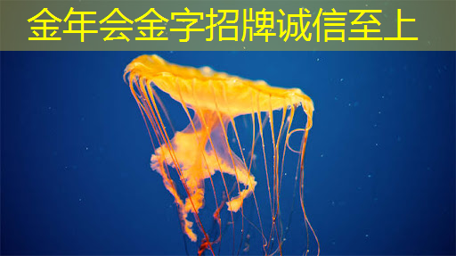 智慧城市发展基础包括 智慧城市发展基础包括