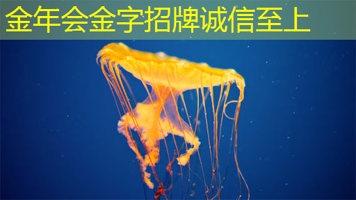 智慧城市监控作用是什么 智慧城市监控作用是什么