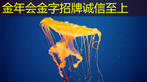 5g基础工业互联网是什么