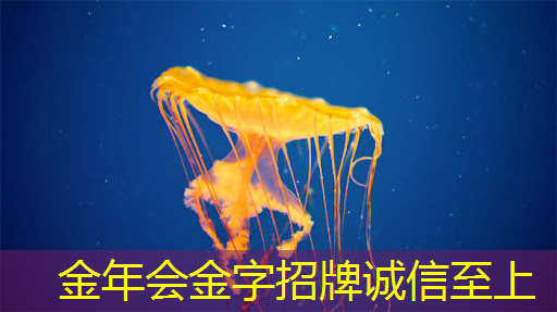 玩转住宿新方式!投影游戏智慧酒店让人们乐在其中 玩转住宿新方式!投影游戏智慧酒店让人们乐在其中