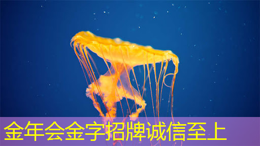操作指南:如何使用智慧互动投影仪进行多人协同 操作指南:如何使用智慧互动投影仪进行多人协同
