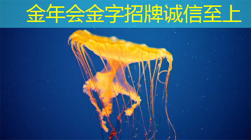 绘画商业蓝图,智能商显沙盘塑造未来商场! 绘画商业蓝图,智能商显沙盘塑造未来商场!