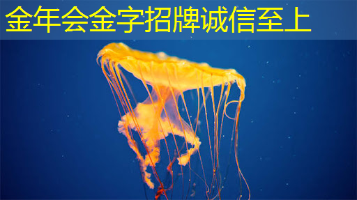 手机变身家庭影院:镜像投屏和同屏为你打开视角新纪元! 手机变身家庭影院:镜像投屏和同屏为你打开视角新纪元!