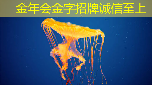 智慧投影系统改变您的冥想练习:轻松迎接宁静内心 智慧投影系统改变您的冥想练习:轻松迎接宁静内心