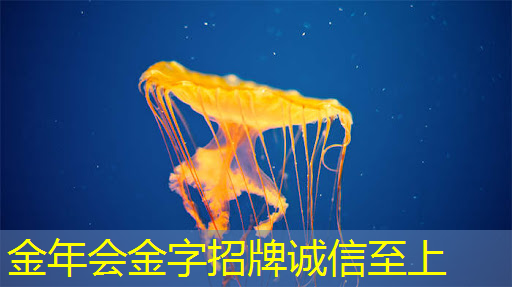 2024年第一季度全球手机芯片出货量,联发科第一,海思排第六? 2024年第一季度全球手机芯片出货量,联发科第一,海思排第六?