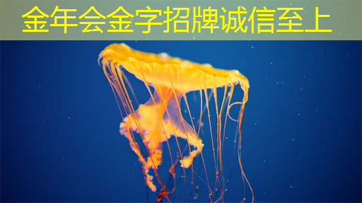 英伟达AI芯片的最大买家是谁?这家科技巨头力压同行霸榜 英伟达AI芯片的最大买家是谁?这家科技巨头力压同行霸榜