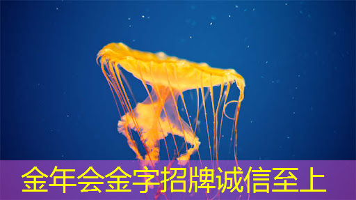 为AI大模型等提供智能算力,京企发布存算一体芯片 为AI大模型等提供智能算力,京企发布存算一体芯片