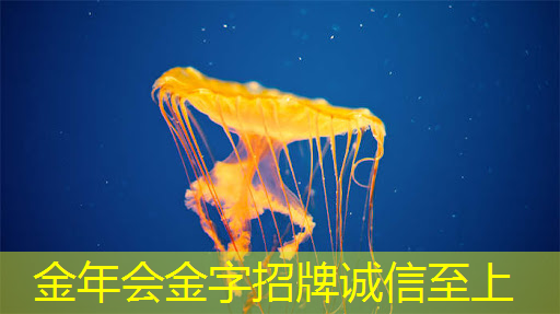 英唐智控半导体芯片开发再添合作伙伴,战略转型频频出手尚无实质性项目落地 英唐智控半导体芯片开发再添合作伙伴,战略转型频频出手尚无实质性项目落地