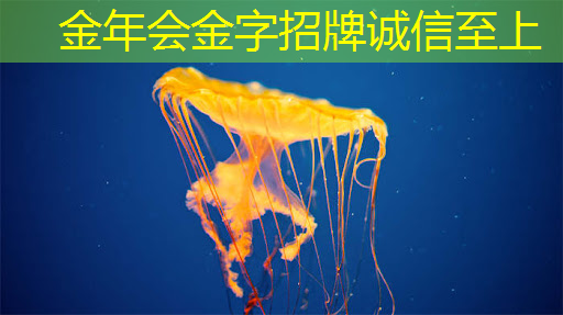 高通明年将迭代AR1芯片,升级为3nm工艺,年底与谷歌发布全新XR操作系统|钛媒体独家 高通明年将迭代AR1芯片,升级为3nm工艺,年底与谷歌发布全新XR操作系统|钛媒体独家