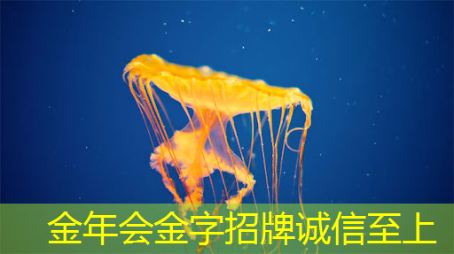 英集芯推出五款高效率锂电快充芯片,高集成高效率 英集芯推出五款高效率锂电快充芯片,高集成高效率