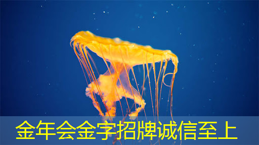 录音芯片智能语音IC芯片程序开发设计 10秒录音玩具IC 录音芯片智能语音IC芯片程序开发设计 10秒录音玩具IC