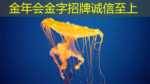 研发全球领先的3D传感器芯片技术,灵明光子完成数亿元C轮融资 研发全球领先的3D传感器芯片技术,灵明光子完成数亿元C轮融资