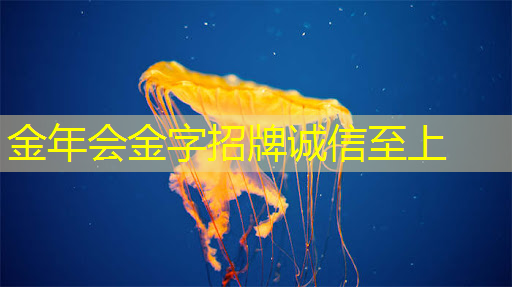 全球芯片市场现分化加剧趋势 全球芯片市场现分化加剧趋势