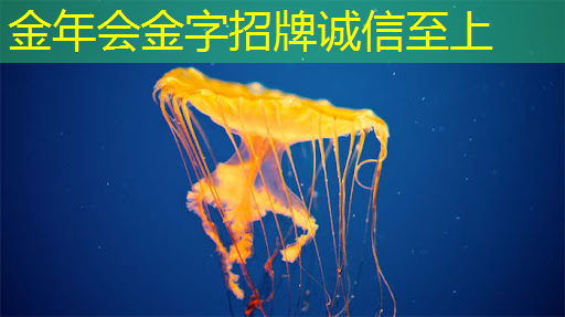 黄仁勋:AI未来在于“推理”,芯片成本大降是关键! 黄仁勋:AI未来在于“推理”,芯片成本大降是关键!