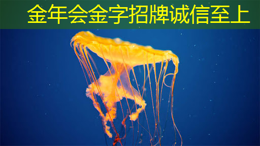 成为代表恒信的都市精英!(附:智能芯片使用指南) 成为代表恒信的都市精英!(附:智能芯片使用指南)