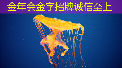 台积电:预计今年AI芯片需求将增长2.5倍 台积电:预计今年AI芯片需求将增长2.5倍