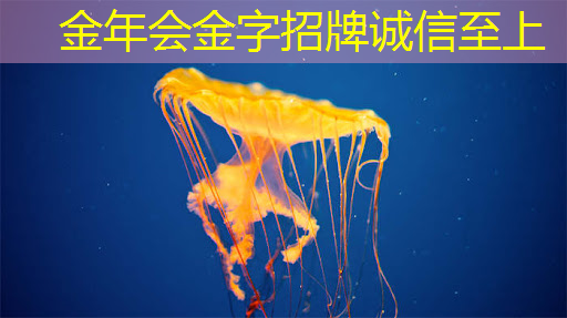 【人工智能分会】校友组团走访参观为旌科技,了解智慧视觉AI芯片及应用 【人工智能分会】校友组团走访参观为旌科技,了解智慧视觉AI芯片及应用